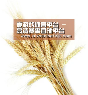 爱游戏体育平台 - 高清赛事直播平台