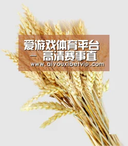 爱游戏体育平台 - 高清赛事直播平台