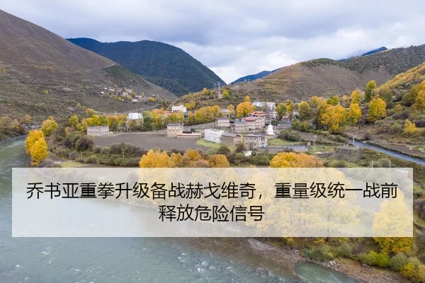 乔书亚重拳升级备战赫戈维奇,重量级统一战前释放危险信号