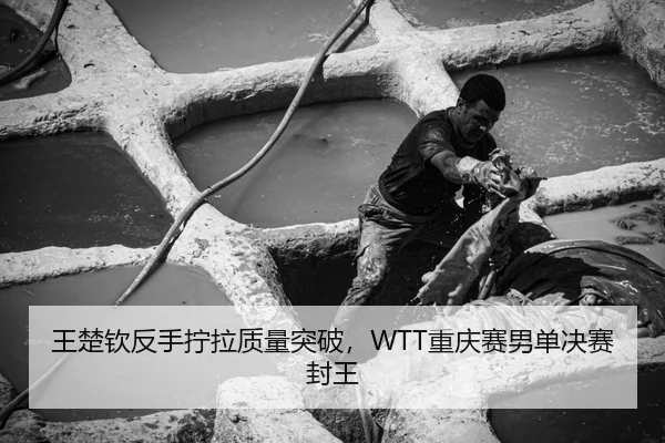 王楚钦反手拧拉质量突破，WTT重庆赛男单决赛封王