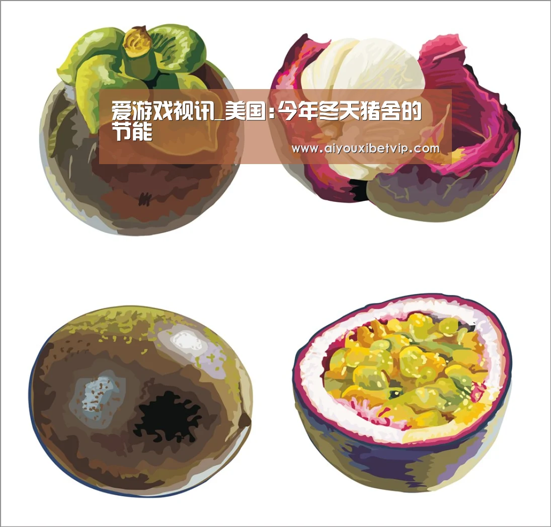 爱游戏视讯_美国:今年冬天猪舍的节能(图1) 爱游戏电竞