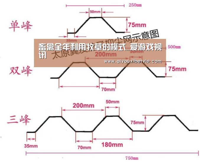 爱游戏百家乐