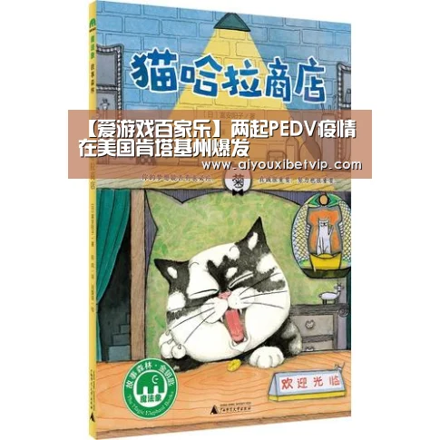 爱游戏视讯